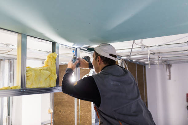 Best Blown-in Insulation in Harlan, IA