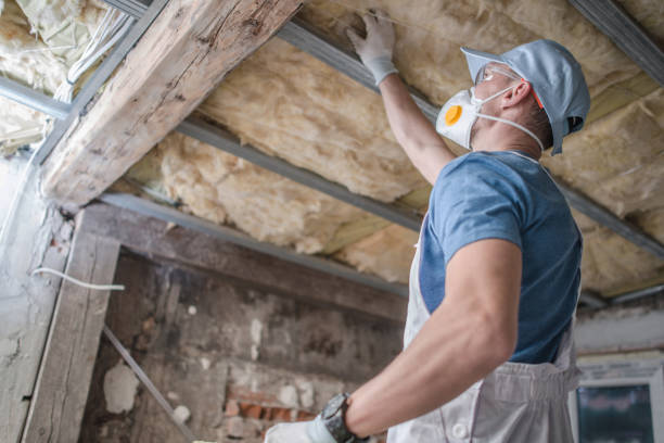 Best Spray Foam Insulation in Harlan, IA