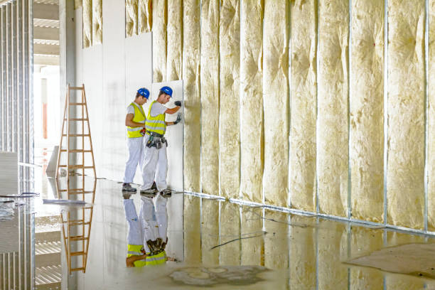 Best Geographic-Specific Insulation Services in Harlan, IA